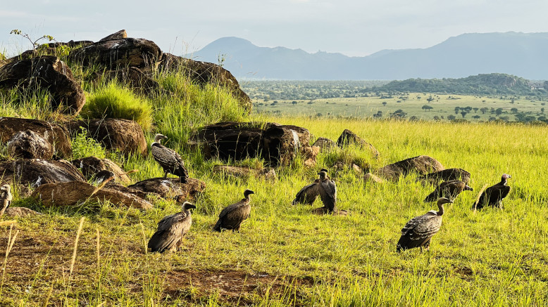  Scheduled Departure Safaris 